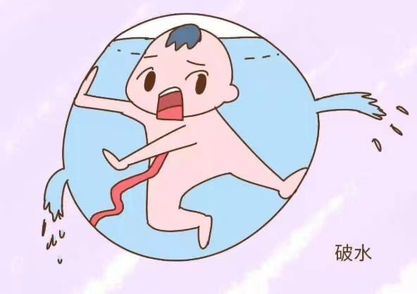 微信图片_20230414084652.png