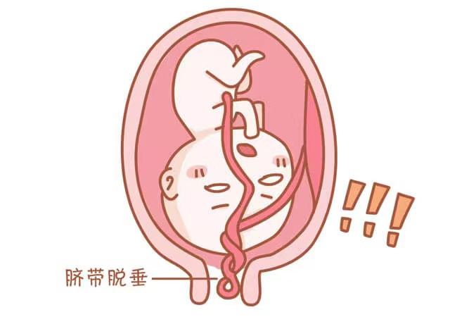 微信图片_20230414084706.png